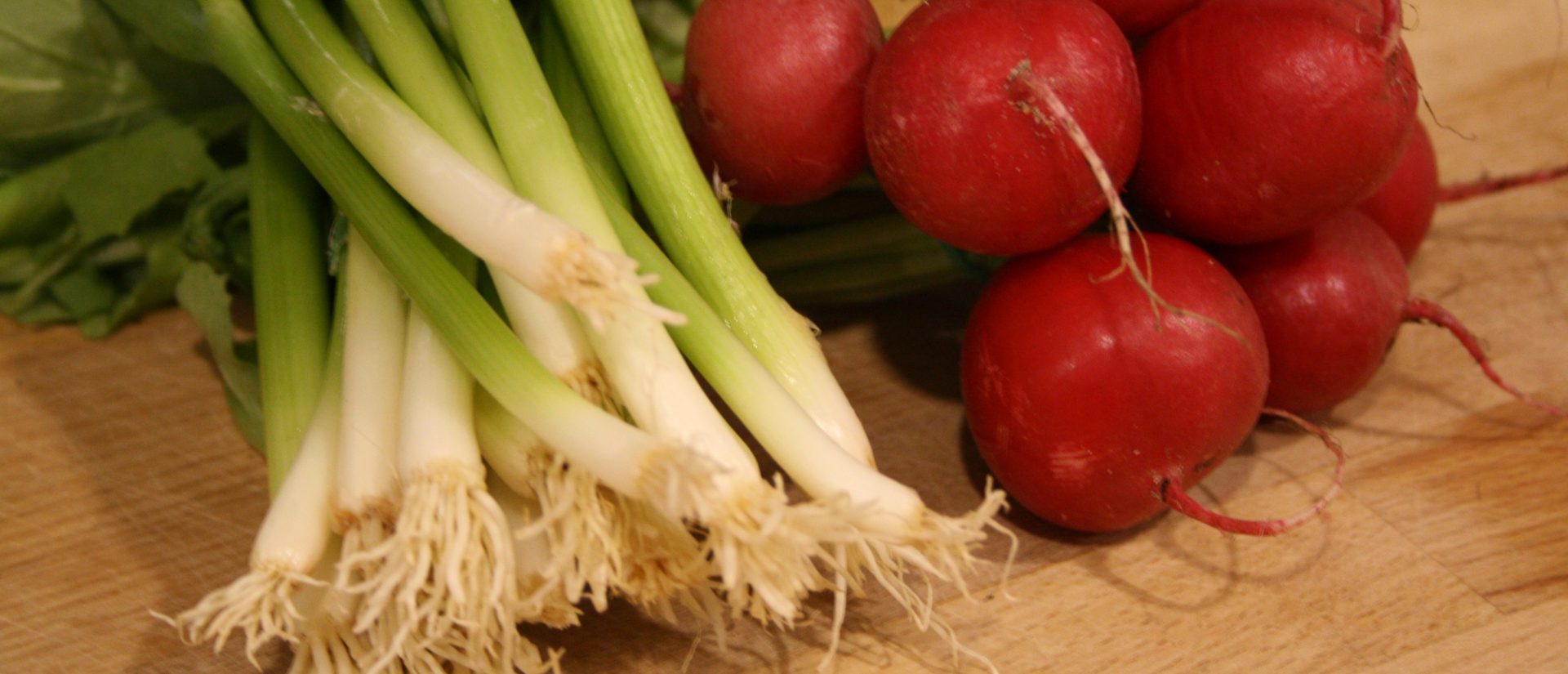 IMG_2031-e1491834492867